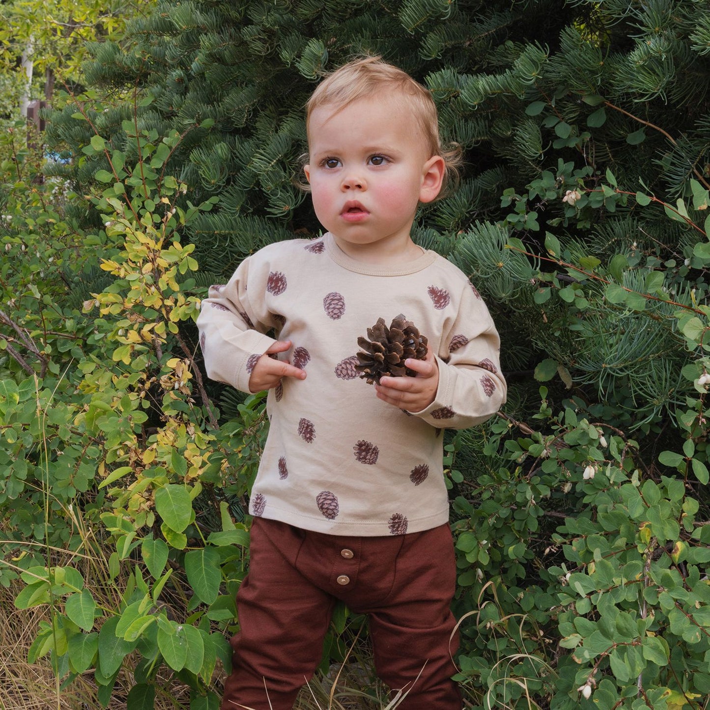 Bodysuit- Pinecones